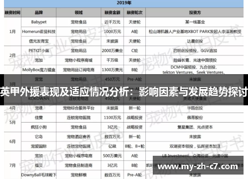 英甲外援表现及适应情况分析：影响因素与发展趋势探讨