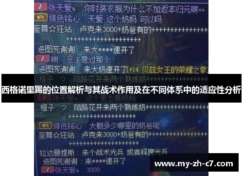西格诺里踢的位置解析与其战术作用及在不同体系中的适应性分析 西格诺里踢的位置解析与其战术作用及在不同体系中的适应性分析