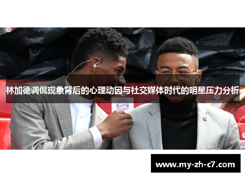 林加德调侃现象背后的心理动因与社交媒体时代的明星压力分析