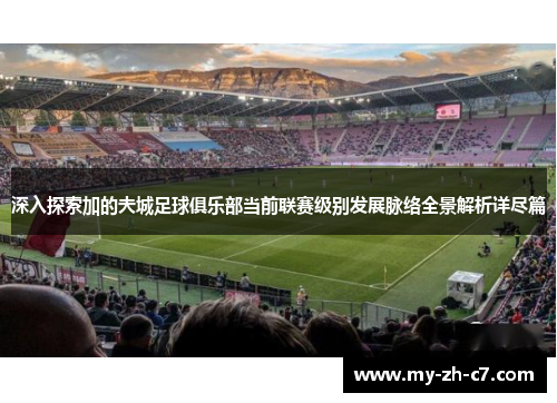 深入探索加的夫城足球俱乐部当前联赛级别发展脉络全景解析详尽篇