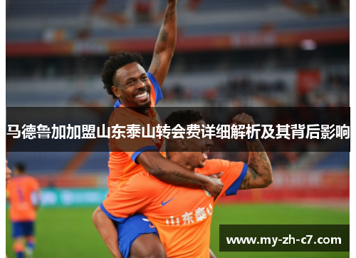 马德鲁加加盟山东泰山转会费详细解析及其背后影响