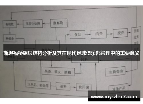 斯坦福桥组织结构分析及其在现代足球俱乐部管理中的重要意义