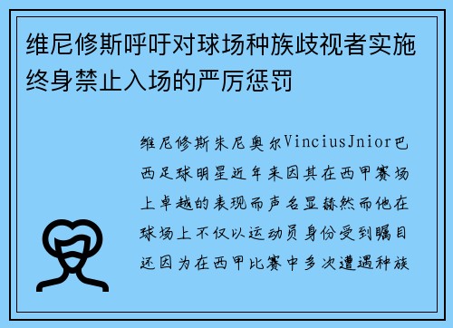 维尼修斯呼吁对球场种族歧视者实施终身禁止入场的严厉惩罚